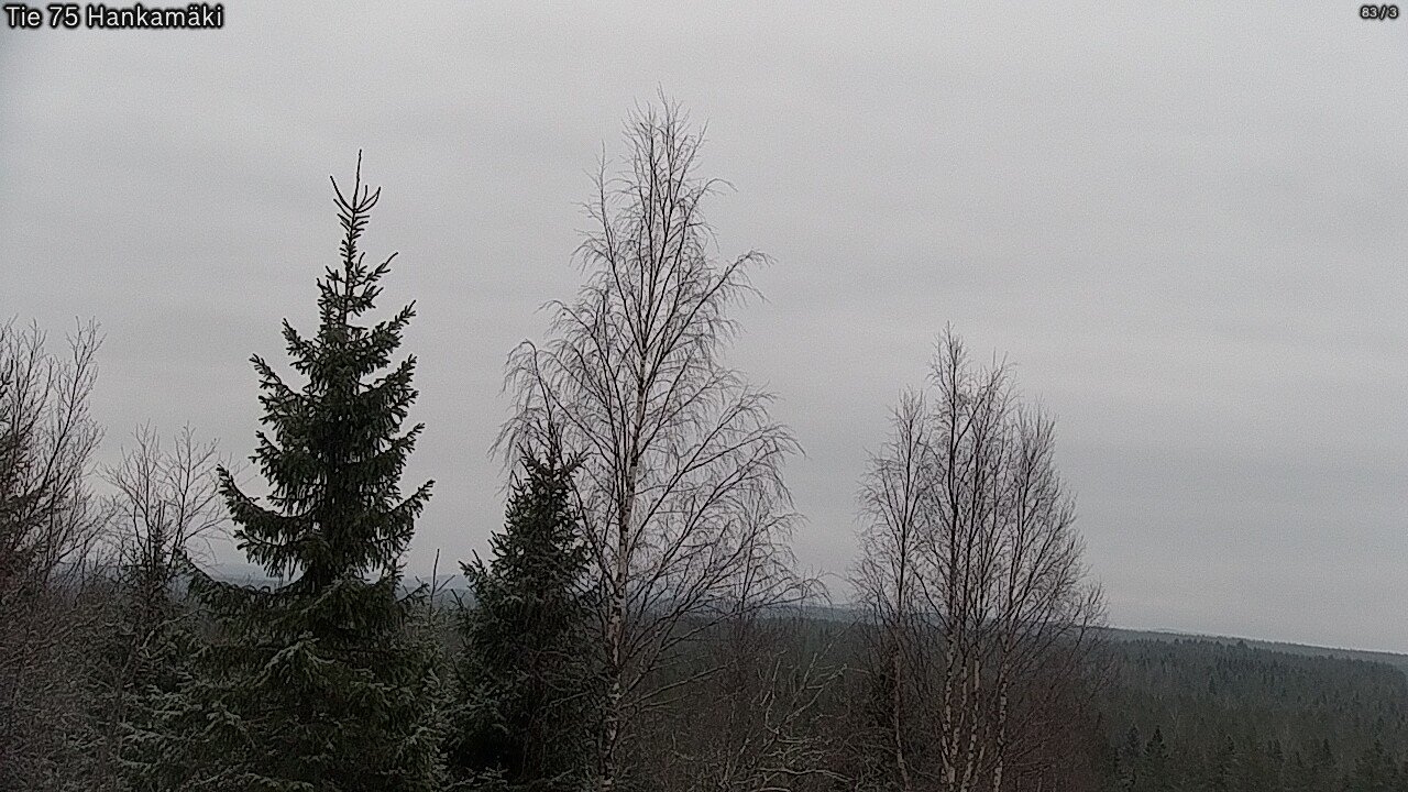 Kelikamerat Kuva Tie 75 Rautavaara, Hankamäki, Rautavaara, Pohjois-Savo