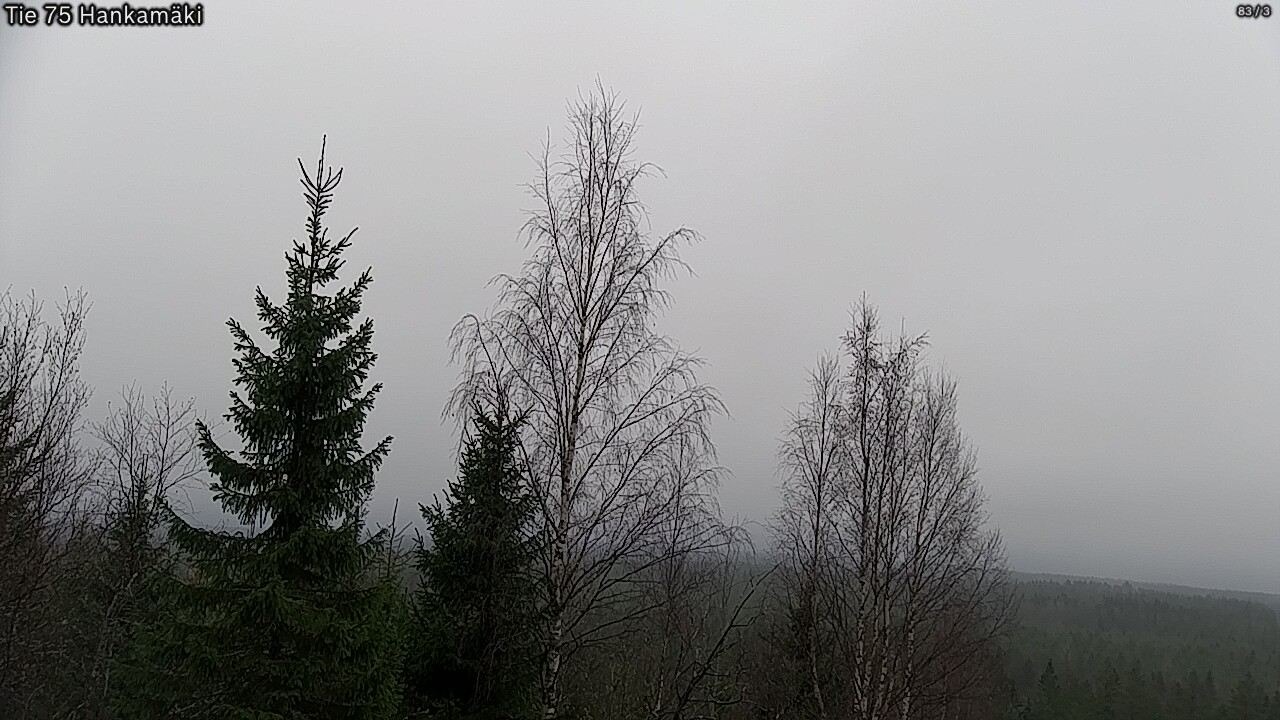 Kelikamerat Kuva Tie 75 Rautavaara, Hankamäki, Rautavaara, Pohjois-Savo