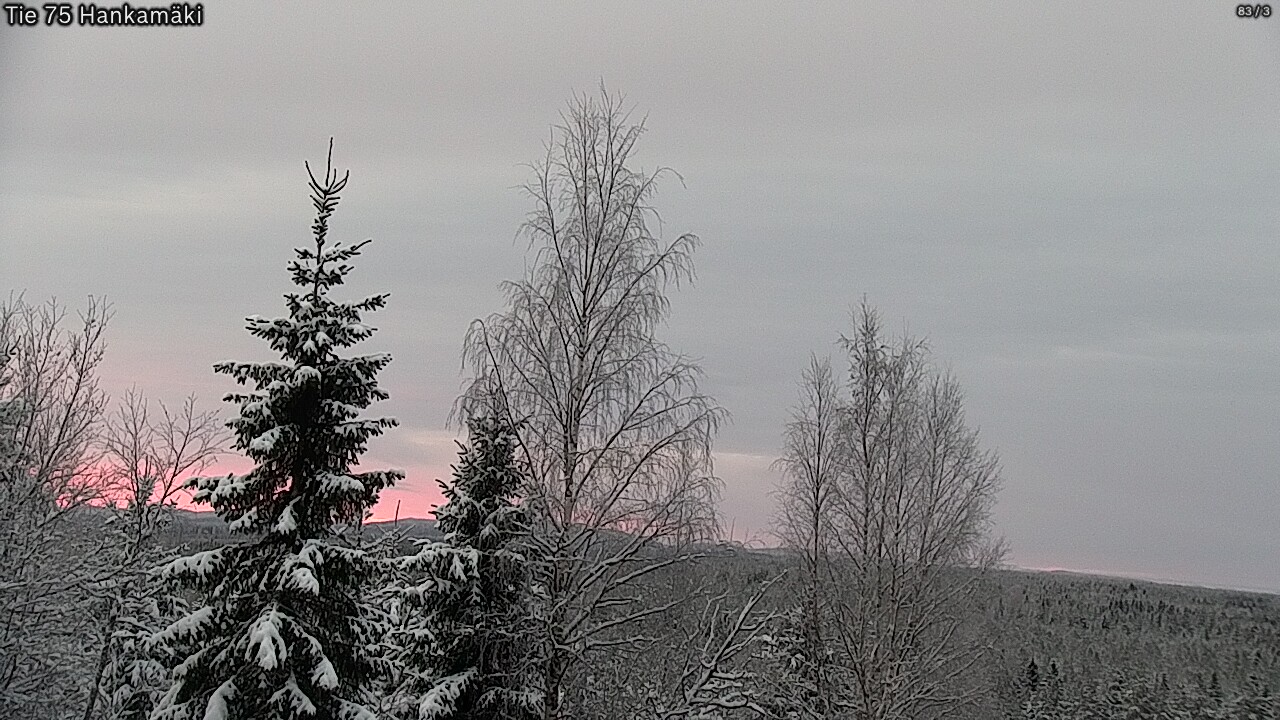Kelikamerat Kuva Tie 75 Rautavaara, Hankamäki, Rautavaara, Pohjois-Savo