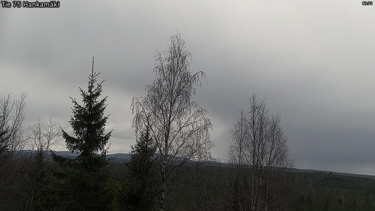 Weather Camera Image Road 75 Rautavaara, Hankamäki, Rautavaara, Pohjois-Savo