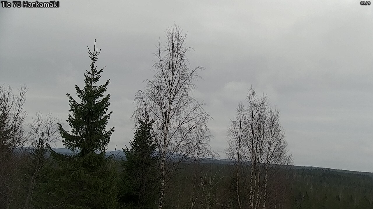 Weather Camera Image Väg 75 Rautavaara, Hankamäki, Rautavaara, Pohjois-Savo
