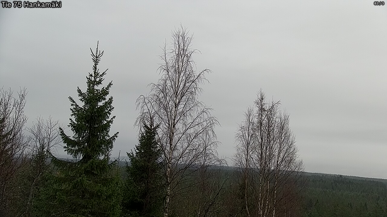 Kelikamerat Kuva Tie 75 Rautavaara, Hankamäki, Rautavaara, Pohjois-Savo