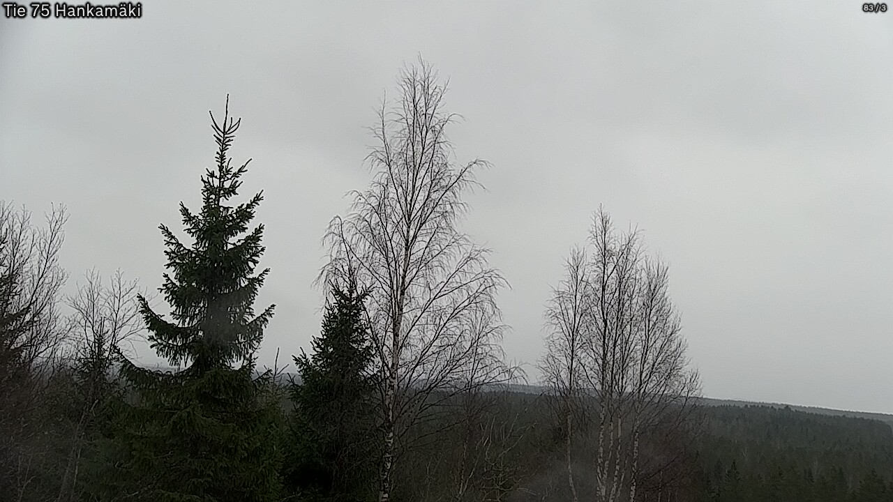 Weather Camera Image Road 75 Rautavaara, Hankamäki, Rautavaara, Pohjois-Savo