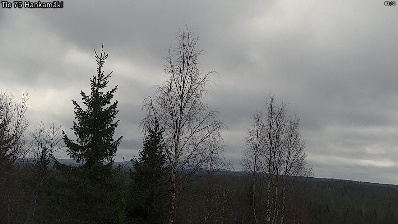 Weather Camera Image Road 75 Rautavaara, Hankamäki, Rautavaara, Pohjois-Savo