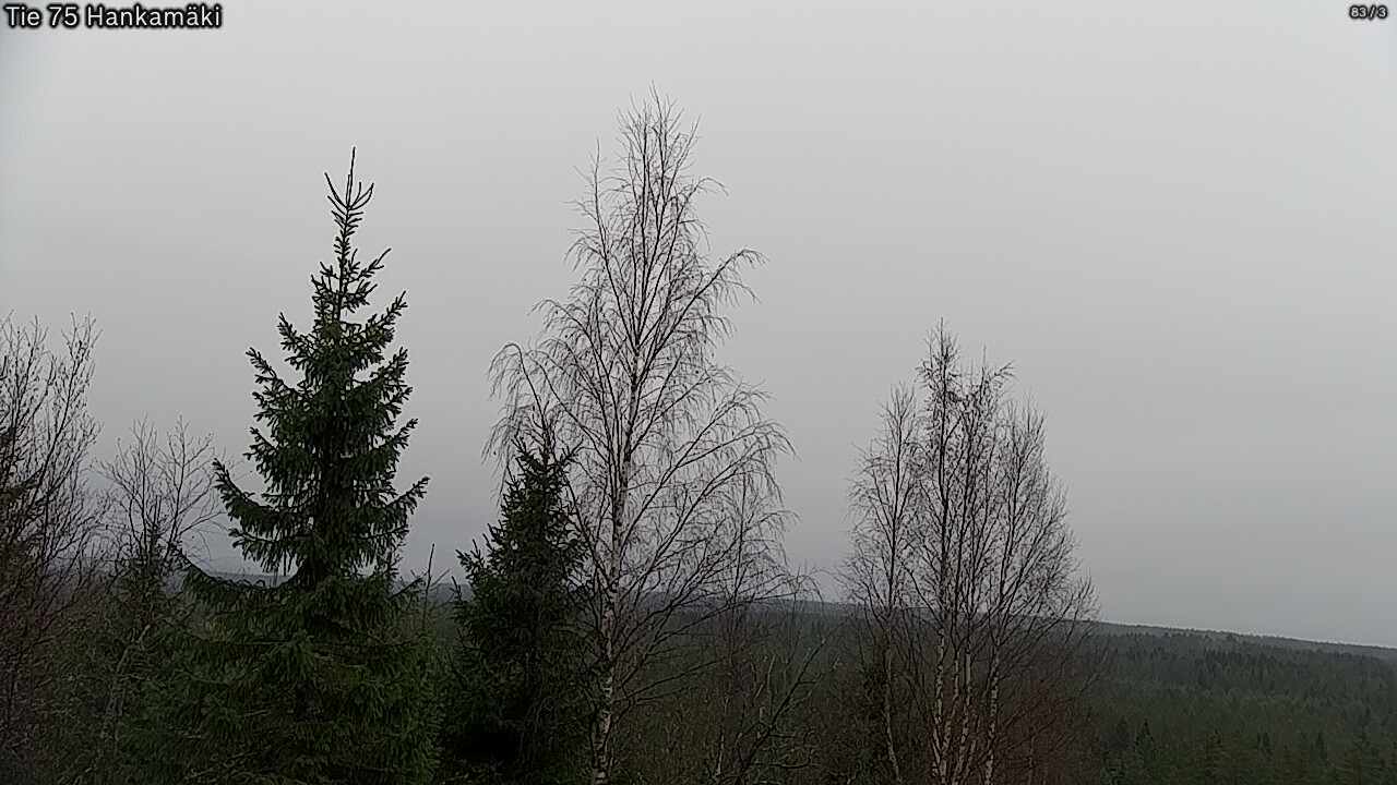 Kelikamerat Kuva Tie 75 Rautavaara, Hankamäki, Rautavaara, Pohjois-Savo