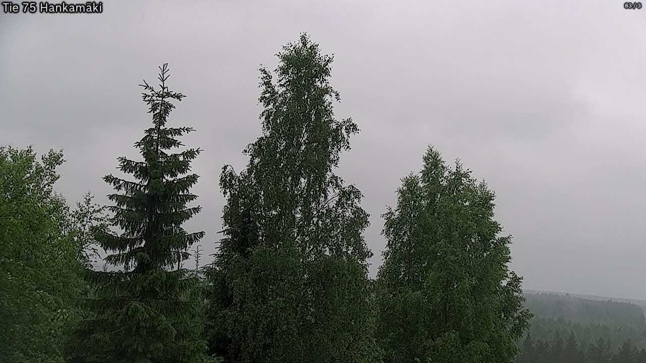 Weather Camera Image Road 75 Rautavaara, Hankamäki, Rautavaara, Pohjois-Savo