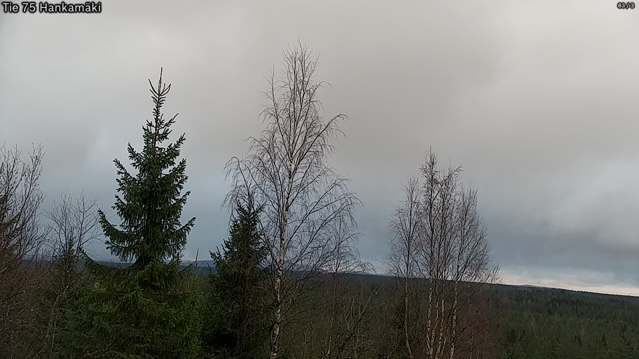 Kelikamerat Kuva Tie 75 Rautavaara, Hankamäki, Rautavaara, Pohjois-Savo