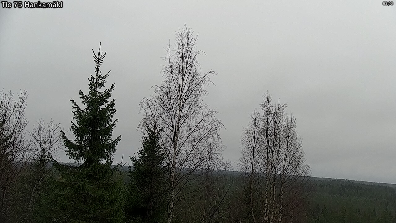 Kelikamerat Kuva Tie 75 Rautavaara, Hankamäki, Rautavaara, Pohjois-Savo