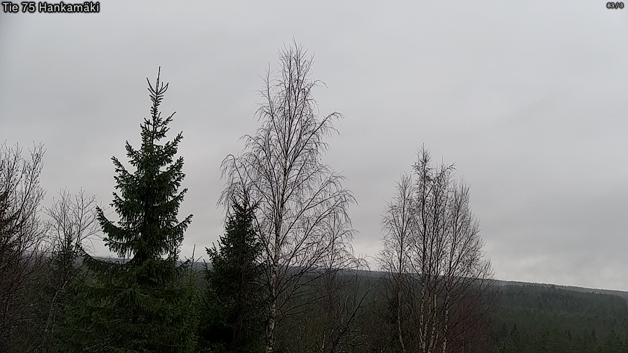 Kelikamerat Kuva Tie 75 Rautavaara, Hankamäki, Rautavaara, Pohjois-Savo
