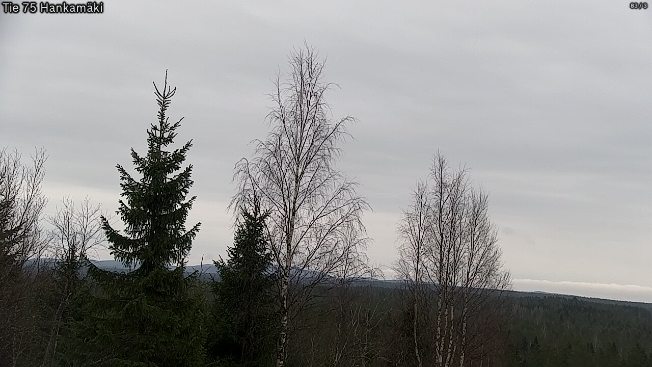 Kelikamerat Kuva Tie 75 Rautavaara, Hankamäki, Rautavaara, Pohjois-Savo