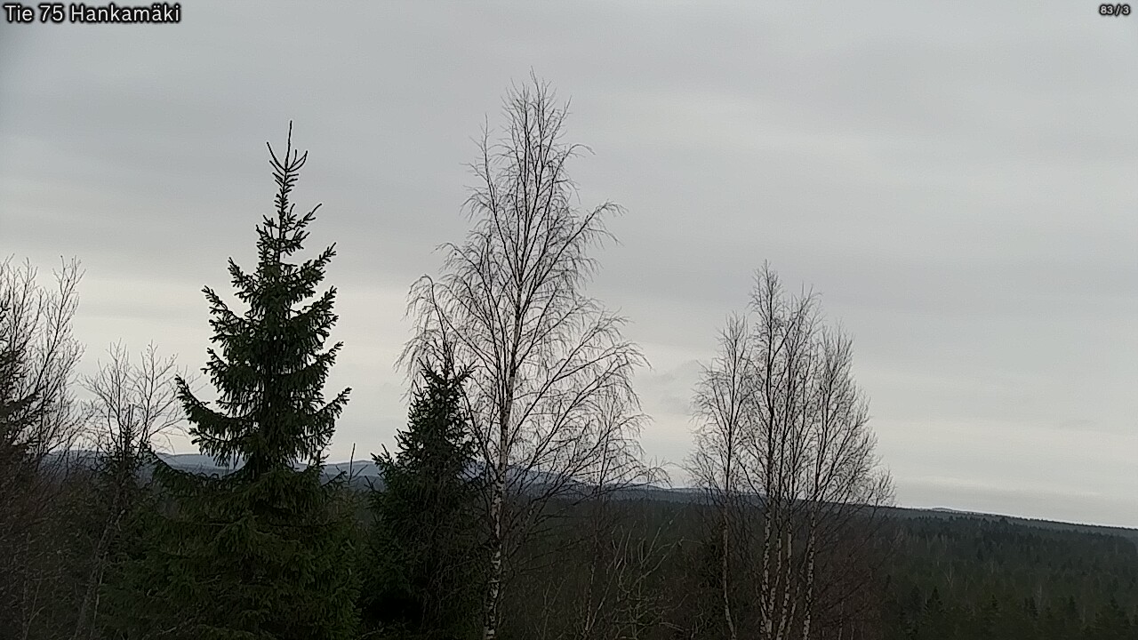Kelikamerat Kuva Tie 75 Rautavaara, Hankamäki, Rautavaara, Pohjois-Savo