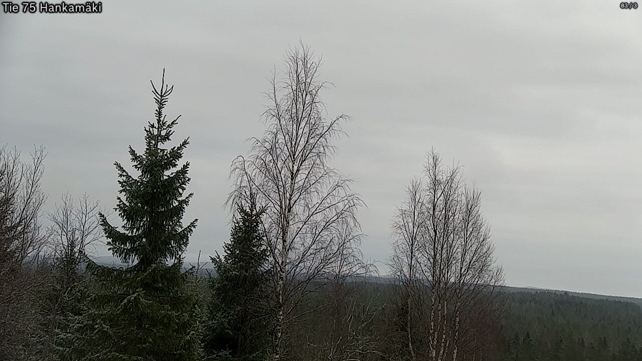 Kelikamerat Kuva Tie 75 Rautavaara, Hankamäki, Rautavaara, Pohjois-Savo