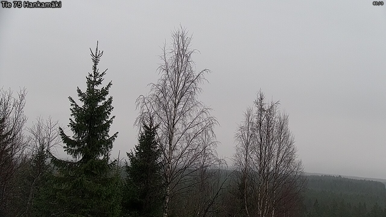 Kelikamerat Kuva Tie 75 Rautavaara, Hankamäki, Rautavaara, Pohjois-Savo