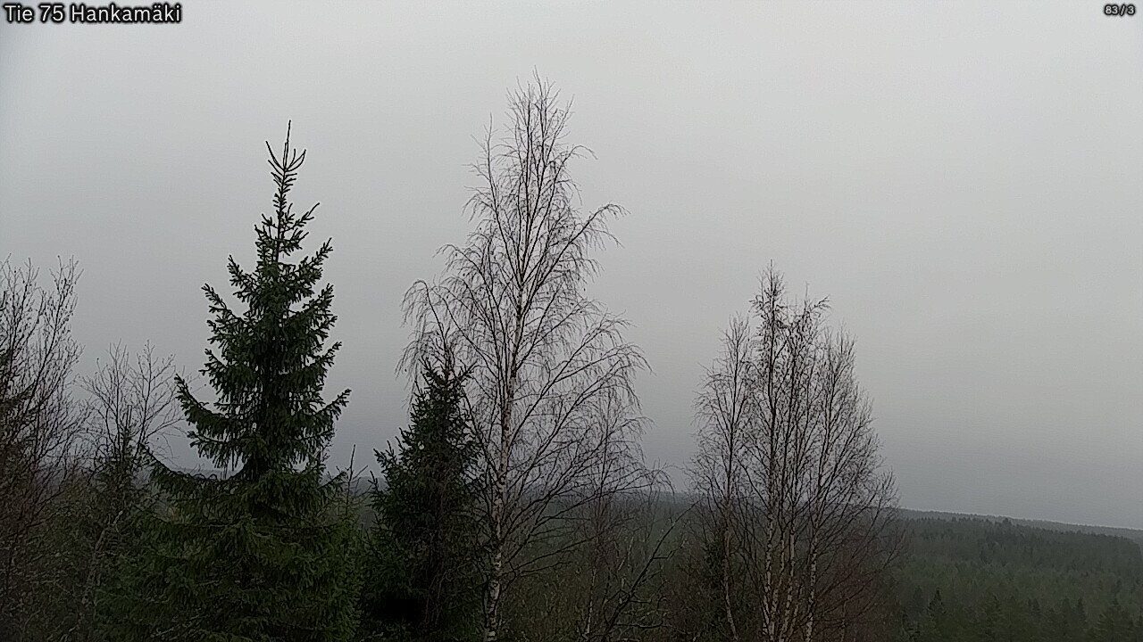 Kelikamerat Kuva Tie 75 Rautavaara, Hankamäki, Rautavaara, Pohjois-Savo