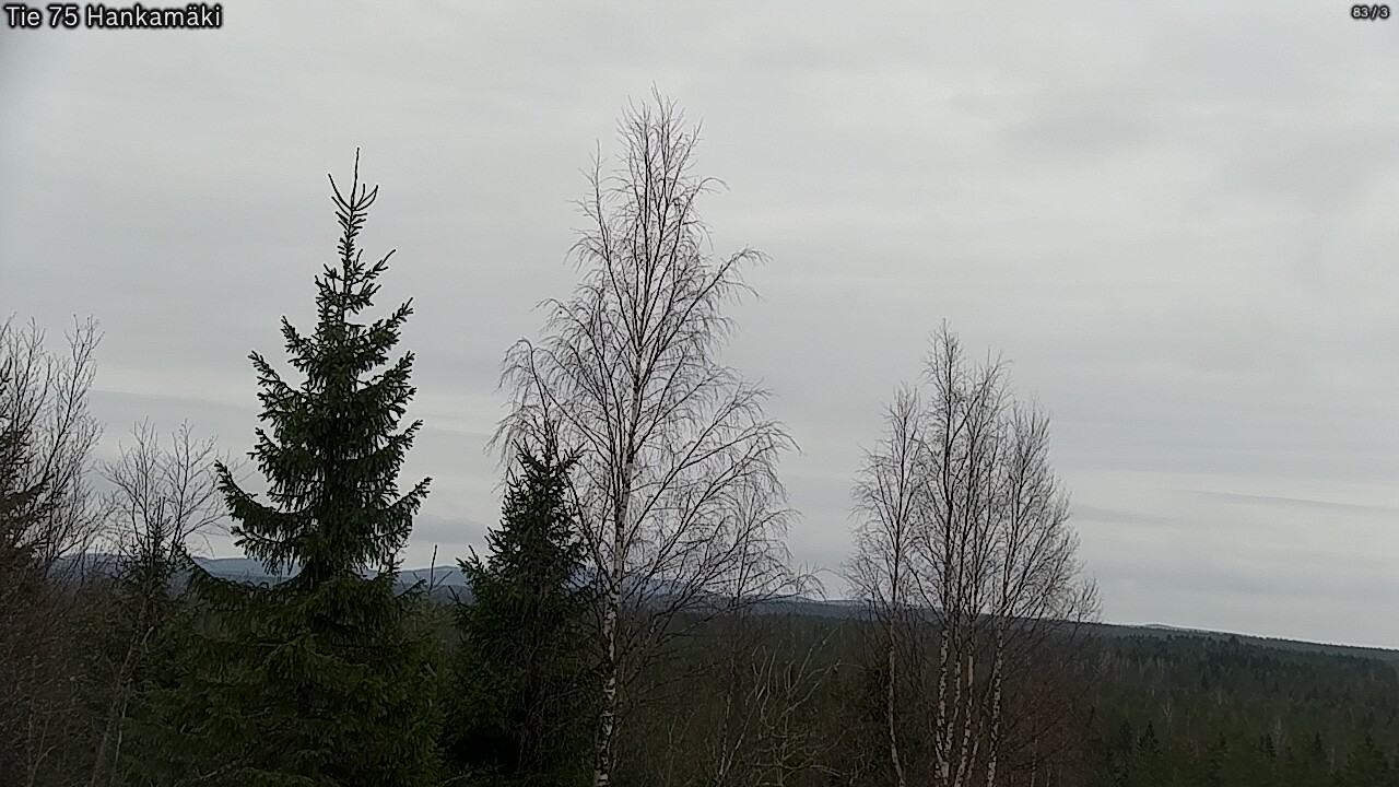 Weather Camera Image Väg 75 Rautavaara, Hankamäki, Rautavaara, Pohjois-Savo