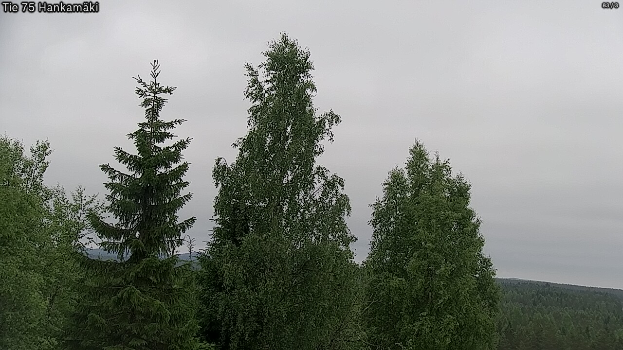 Kelikamerat Kuva Tie 75 Rautavaara, Hankamäki, Rautavaara, Pohjois-Savo