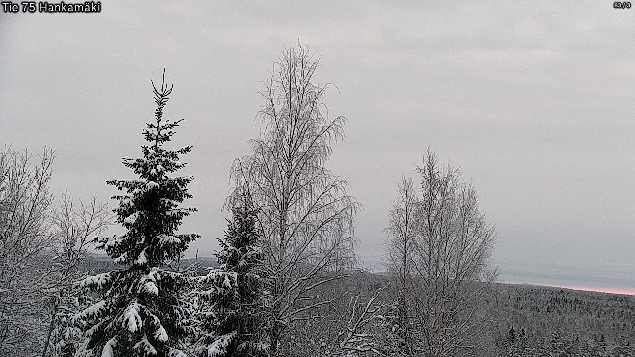 Kelikamerat Kuva Tie 75 Rautavaara, Hankamäki, Rautavaara, Pohjois-Savo