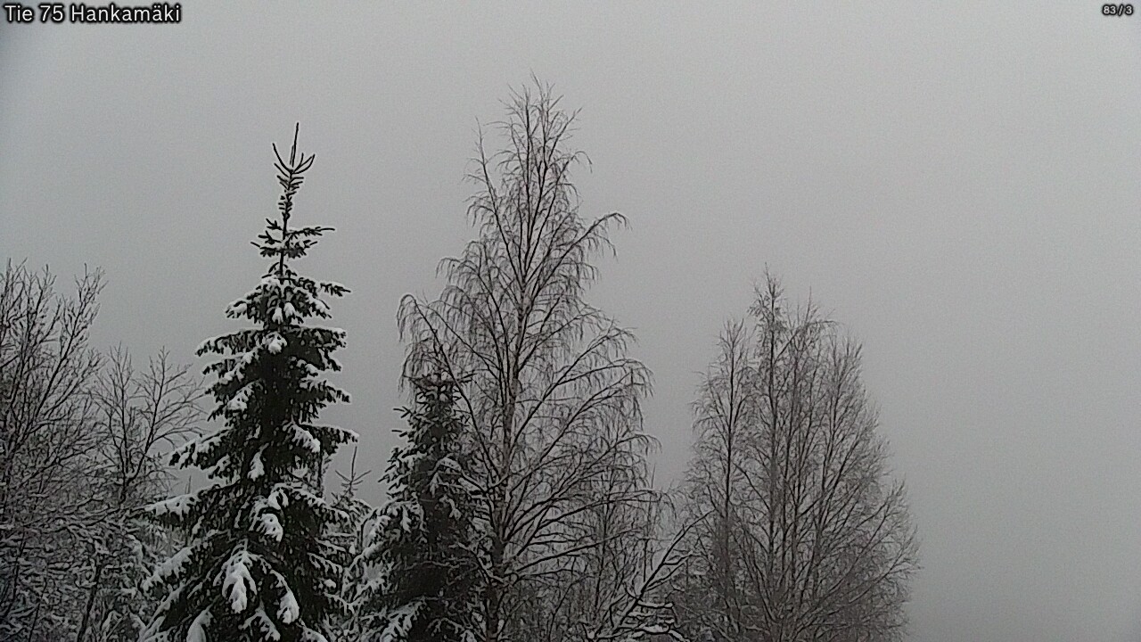 Weather Camera Image Road 75 Rautavaara, Hankamäki, Rautavaara, Pohjois-Savo