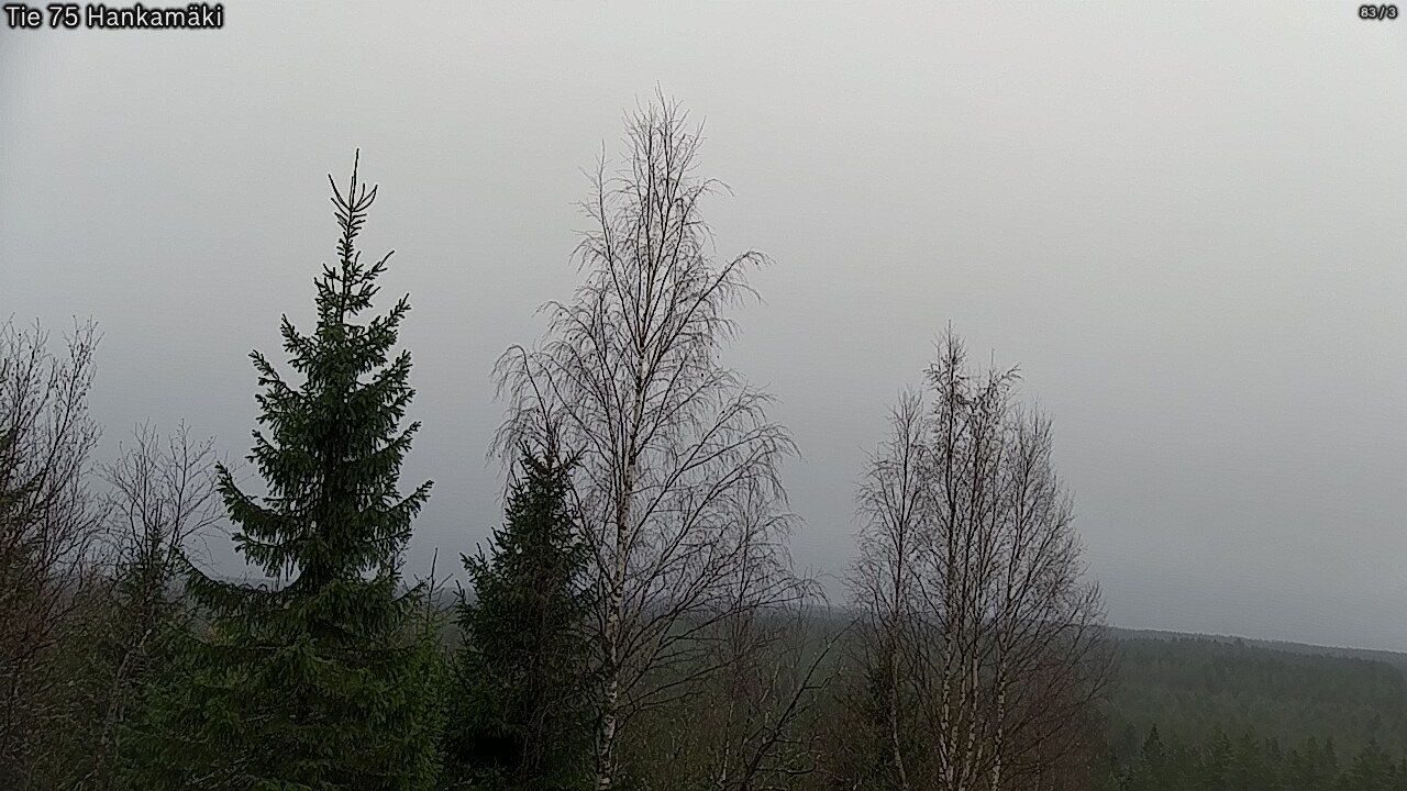 Kelikamerat Kuva Tie 75 Rautavaara, Hankamäki, Rautavaara, Pohjois-Savo