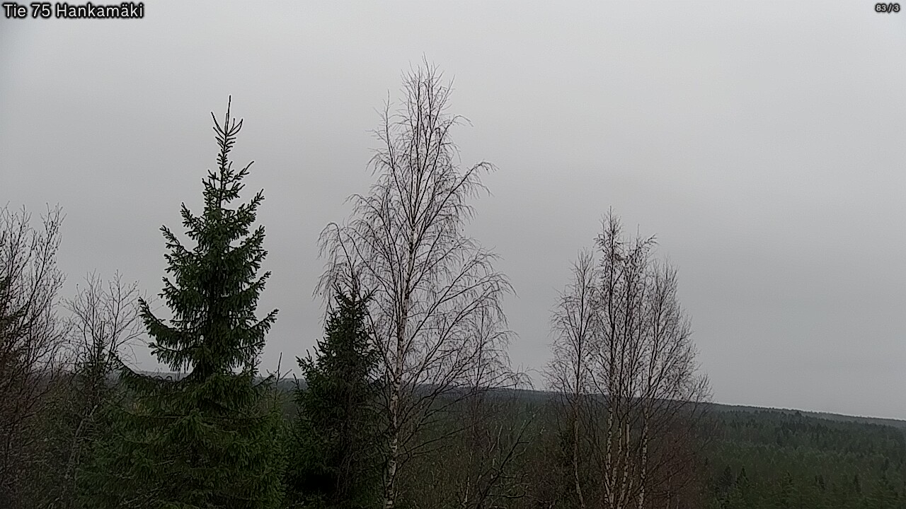 Kelikamerat Kuva Tie 75 Rautavaara, Hankamäki, Rautavaara, Pohjois-Savo