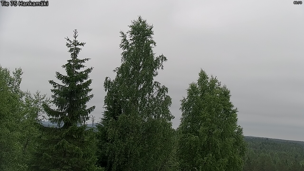 Kelikamerat Kuva Tie 75 Rautavaara, Hankamäki, Rautavaara, Pohjois-Savo