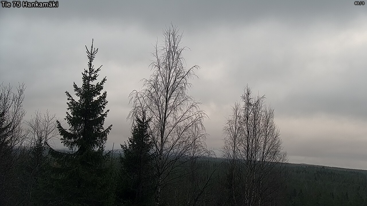 Kelikamerat Kuva Tie 75 Rautavaara, Hankamäki, Rautavaara, Pohjois-Savo