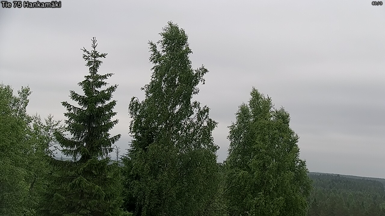 Kelikamerat Kuva Tie 75 Rautavaara, Hankamäki, Rautavaara, Pohjois-Savo