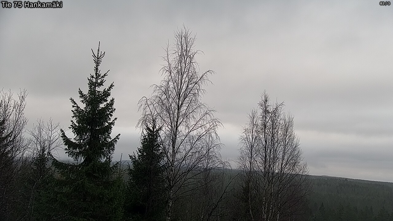 Kelikamerat Kuva Tie 75 Rautavaara, Hankamäki, Rautavaara, Pohjois-Savo