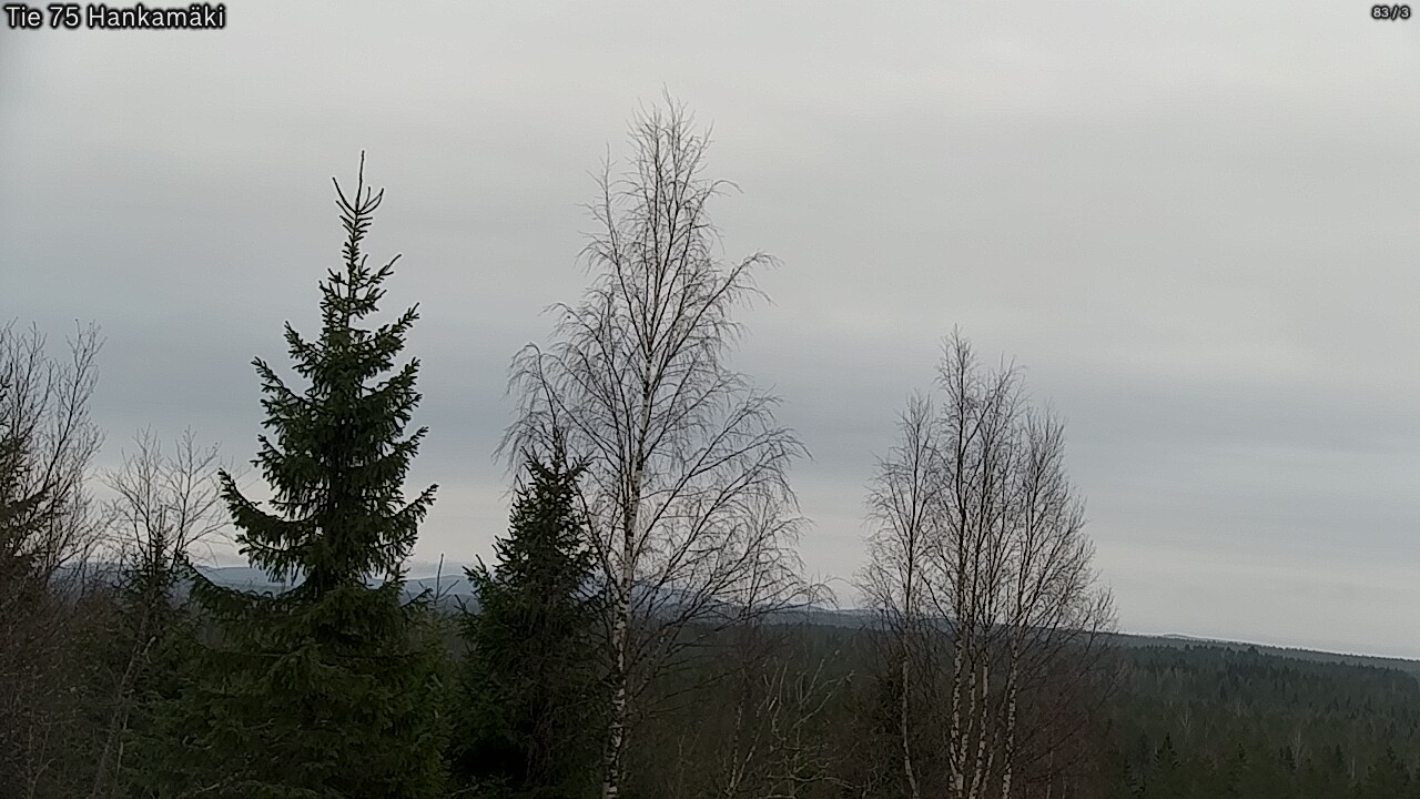 Kelikamerat Kuva Tie 75 Rautavaara, Hankamäki, Rautavaara, Pohjois-Savo