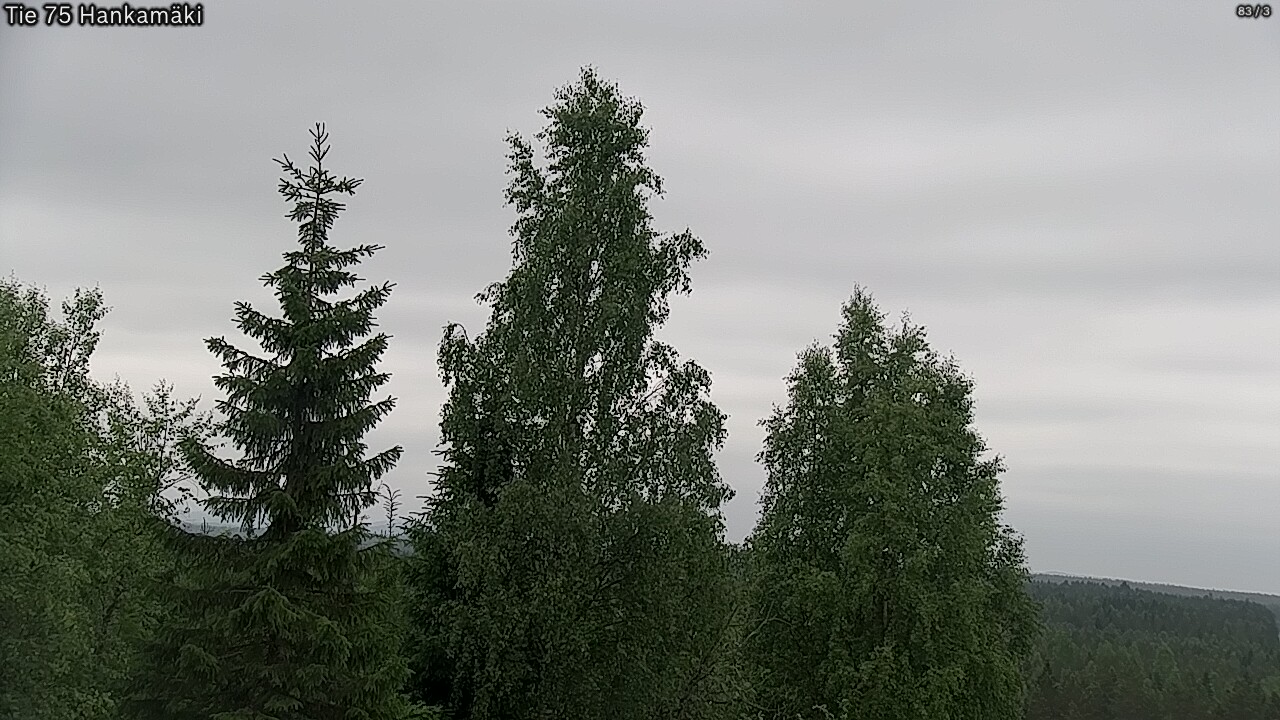 Kelikamerat Kuva Tie 75 Rautavaara, Hankamäki, Rautavaara, Pohjois-Savo
