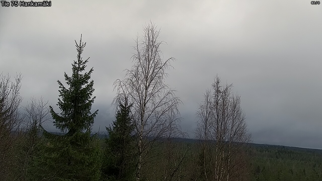 Kelikamerat Kuva Tie 75 Rautavaara, Hankamäki, Rautavaara, Pohjois-Savo