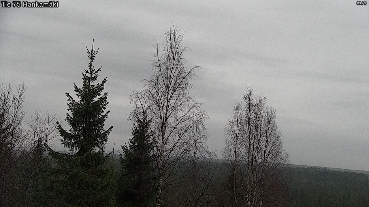 Kelikamerat Kuva Tie 75 Rautavaara, Hankamäki, Rautavaara, Pohjois-Savo
