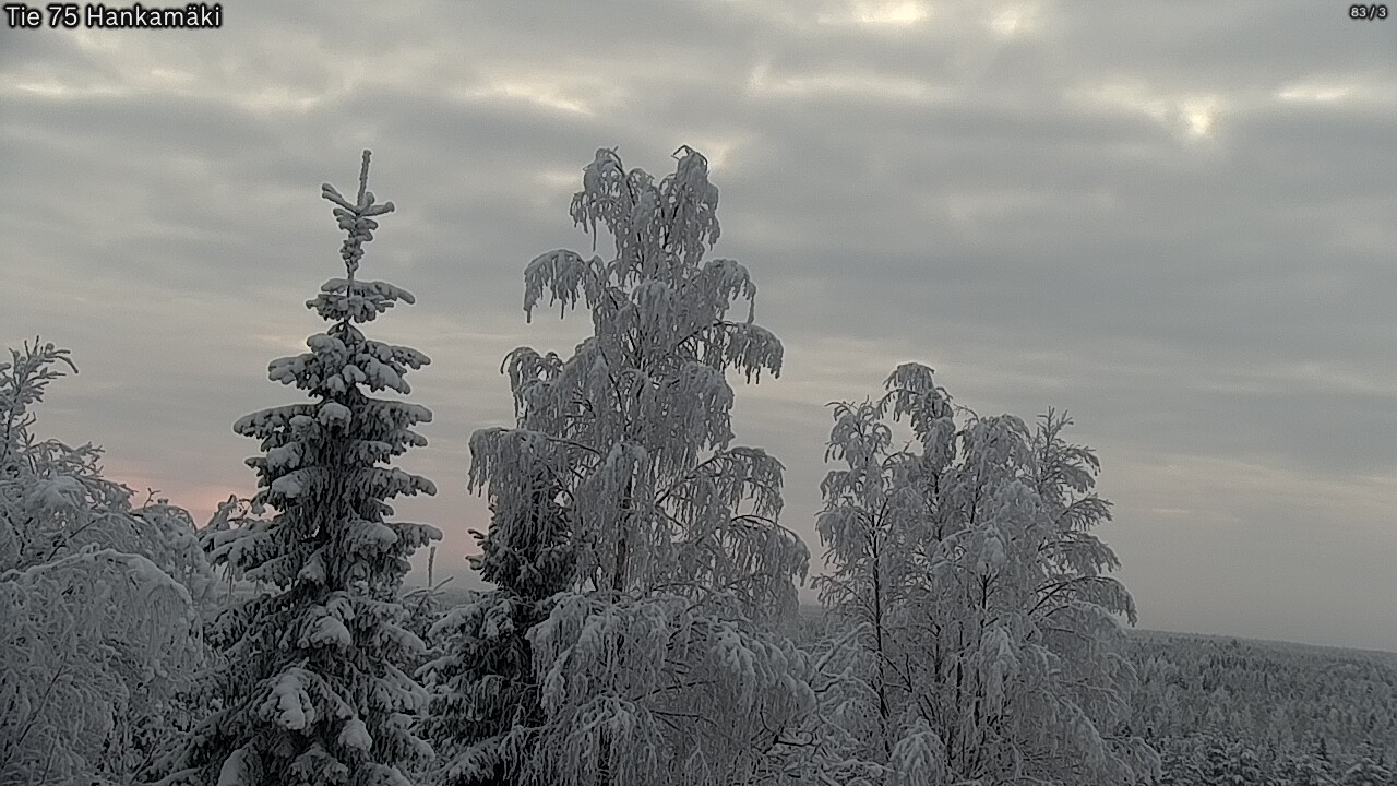 Kelikamerat Kuva Tie 75 Rautavaara, Hankamäki, Rautavaara, Pohjois-Savo