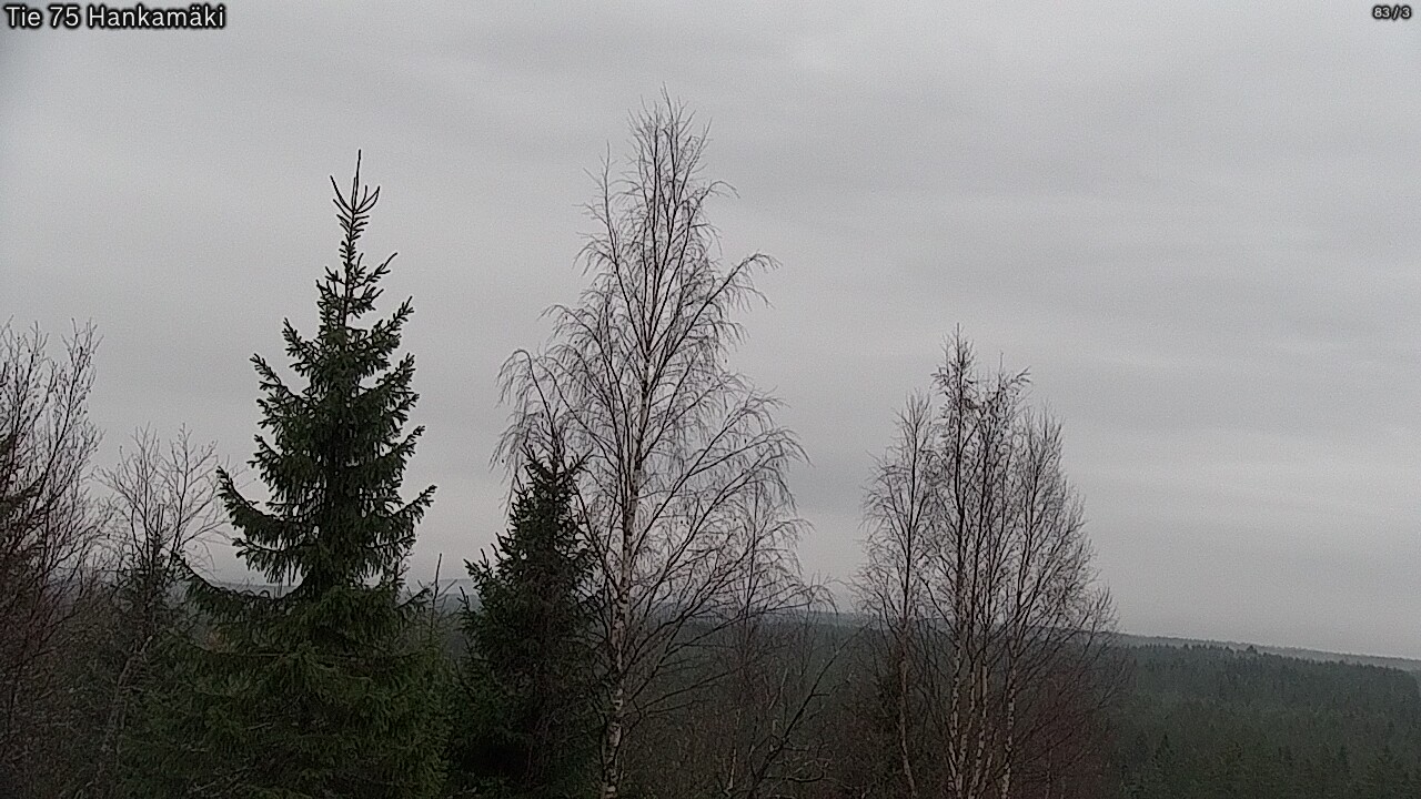 Kelikamerat Kuva Tie 75 Rautavaara, Hankamäki, Rautavaara, Pohjois-Savo