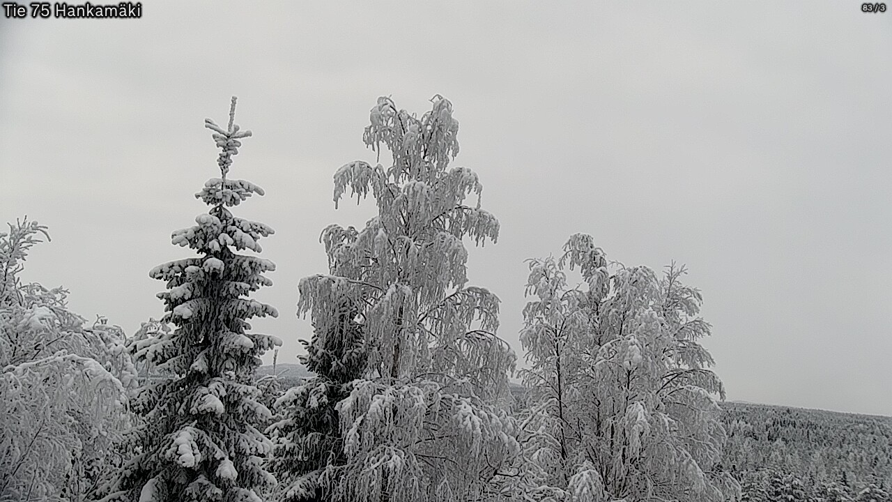 Weather Camera Image Road 75 Rautavaara, Hankamäki, Rautavaara, Pohjois-Savo