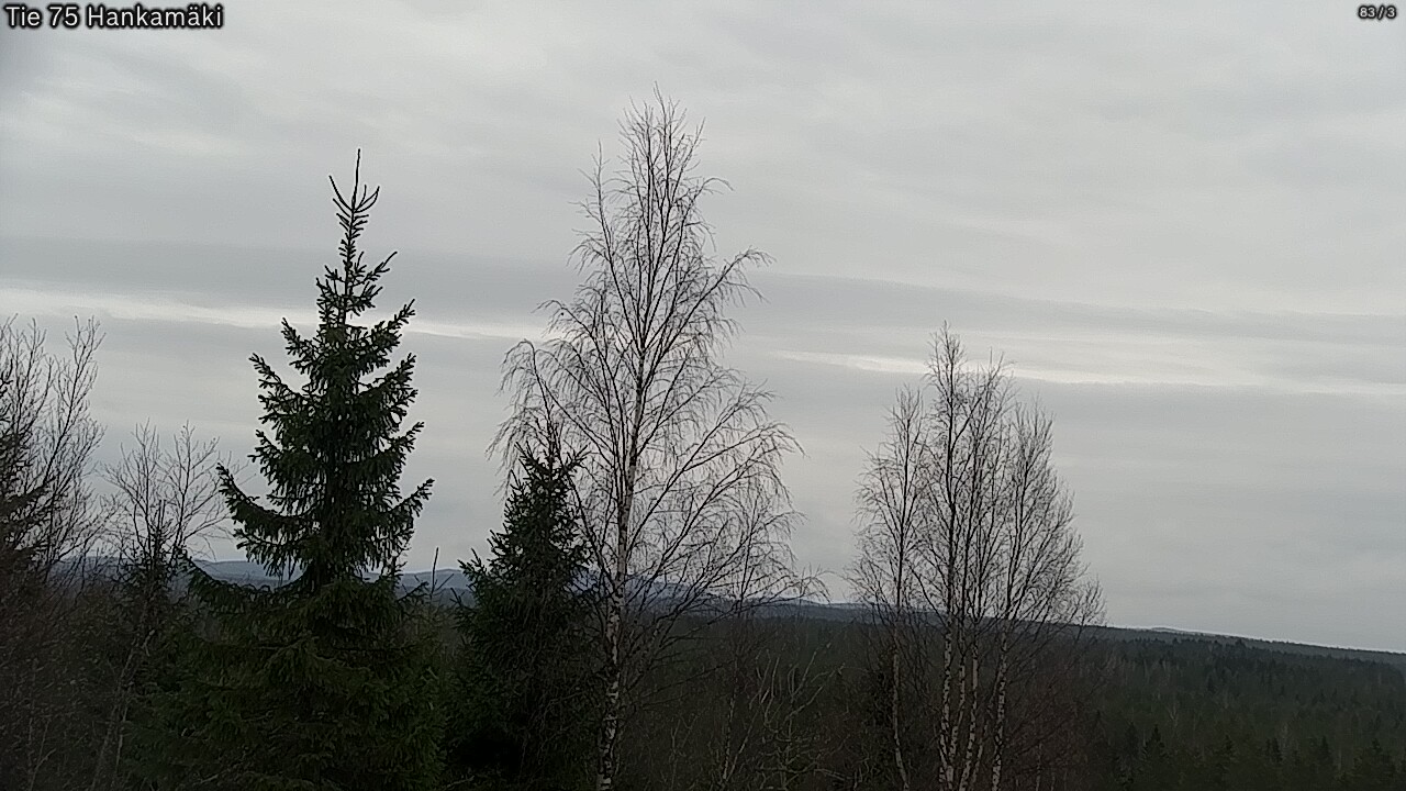 Weather Camera Image Väg 75 Rautavaara, Hankamäki, Rautavaara, Pohjois-Savo