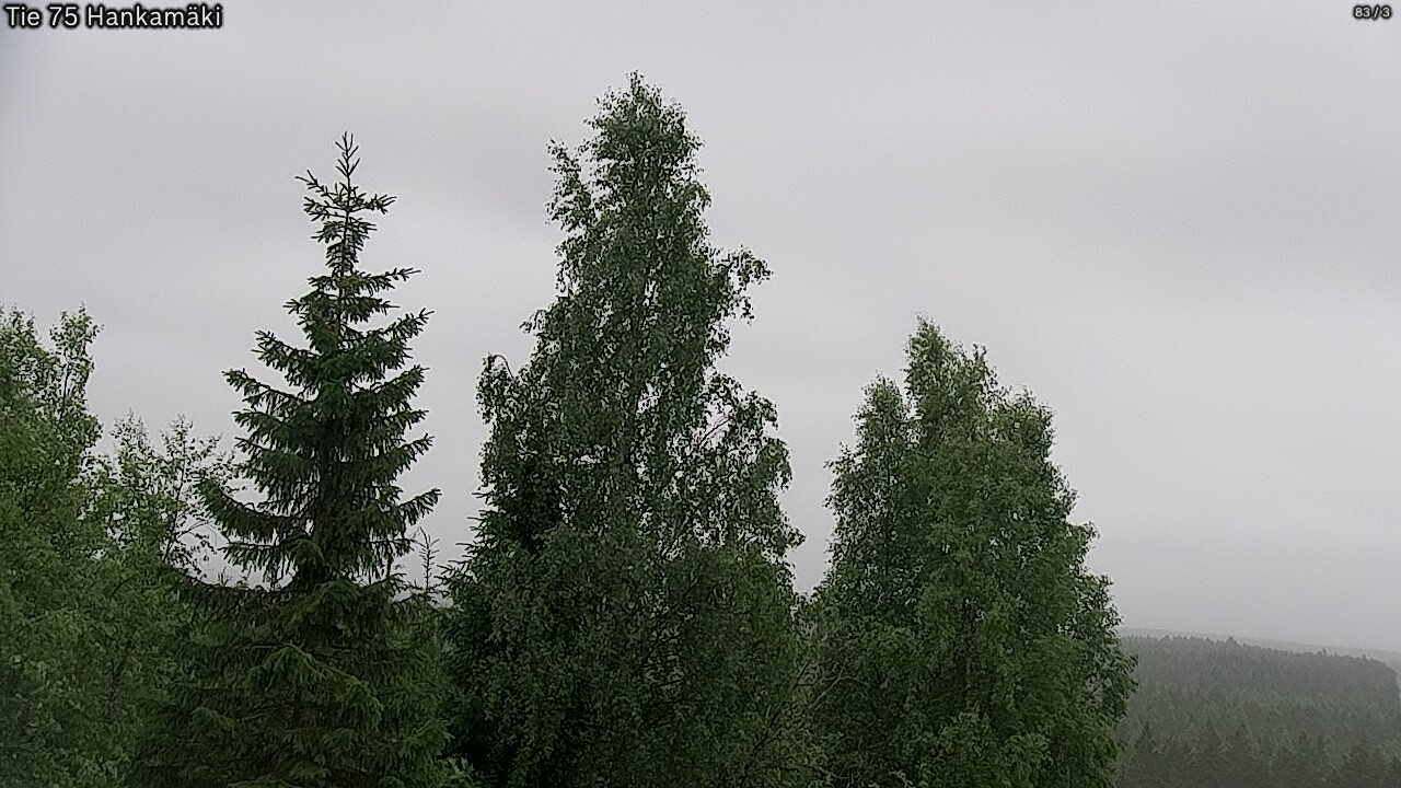 Kelikamerat Kuva Tie 75 Rautavaara, Hankamäki, Rautavaara, Pohjois-Savo