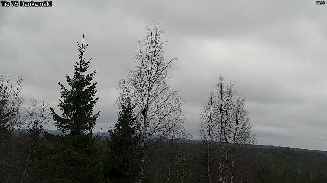 Weather Camera Image Road 75 Rautavaara, Hankamäki, Rautavaara, Pohjois-Savo