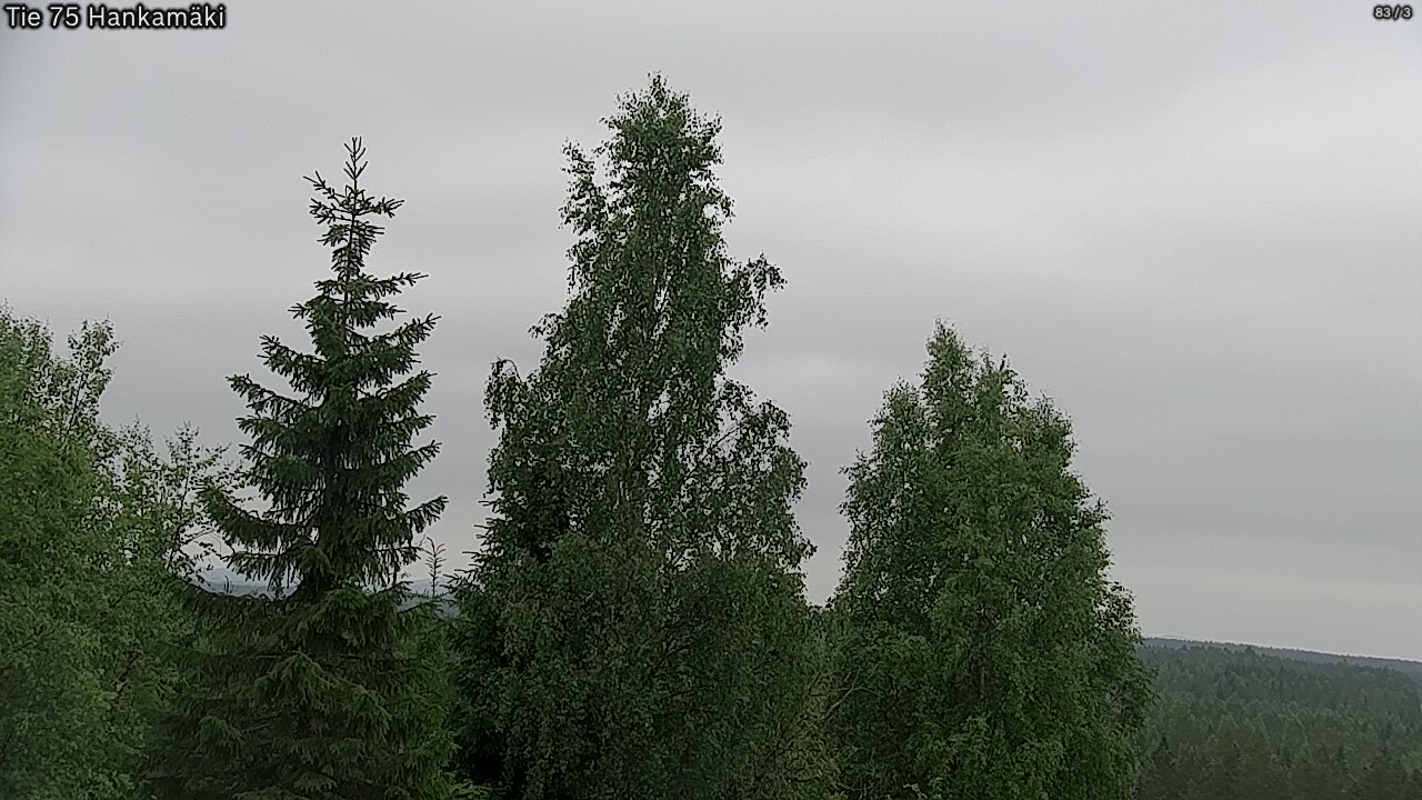 Kelikamerat Kuva Tie 75 Rautavaara, Hankamäki, Rautavaara, Pohjois-Savo