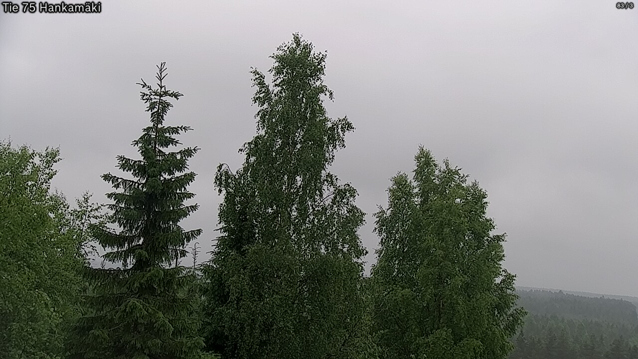 Weather Camera Image Road 75 Rautavaara, Hankamäki, Rautavaara, Pohjois-Savo