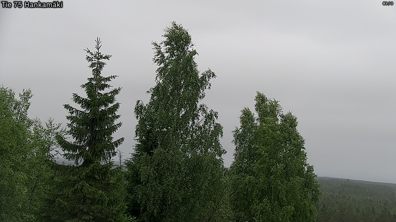 Kelikamerat Kuva Tie 75 Rautavaara, Hankamäki, Rautavaara, Pohjois-Savo