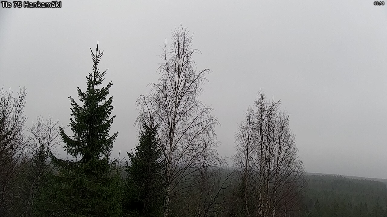 Kelikamerat Kuva Tie 75 Rautavaara, Hankamäki, Rautavaara, Pohjois-Savo