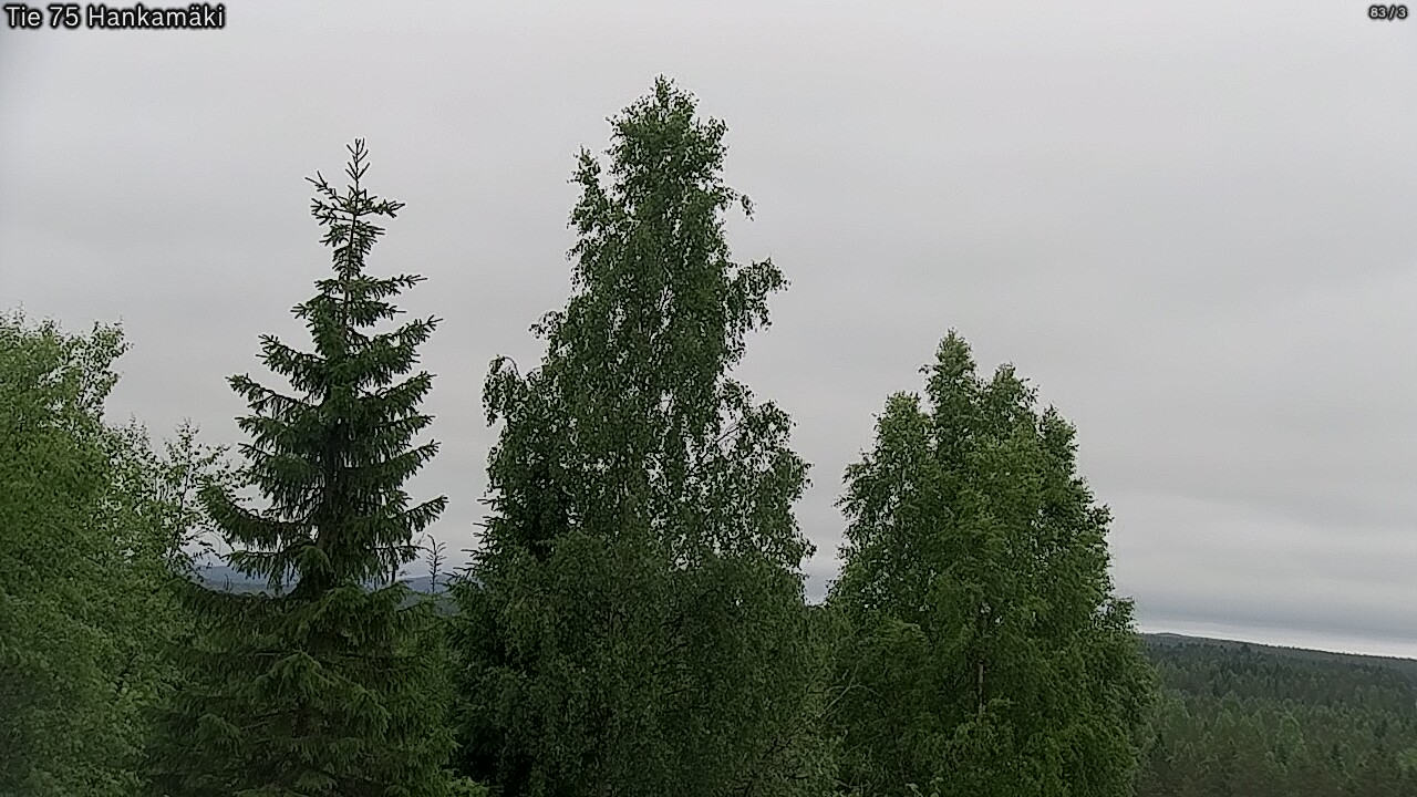 Kelikamerat Kuva Tie 75 Rautavaara, Hankamäki, Rautavaara, Pohjois-Savo