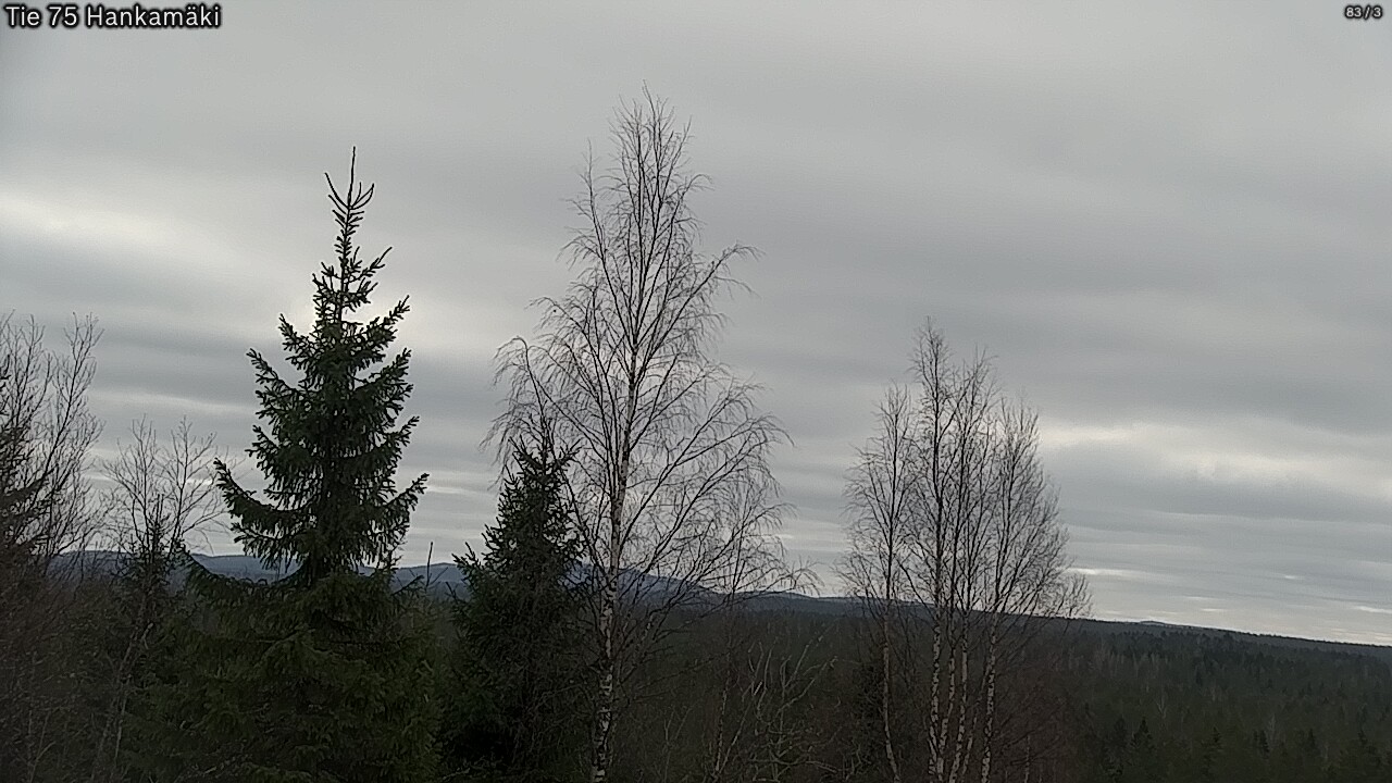 Kelikamerat Kuva Tie 75 Rautavaara, Hankamäki, Rautavaara, Pohjois-Savo
