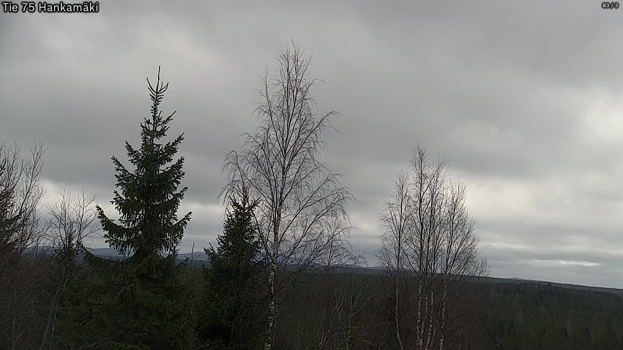 Weather Camera Image Road 75 Rautavaara, Hankamäki, Rautavaara, Pohjois-Savo