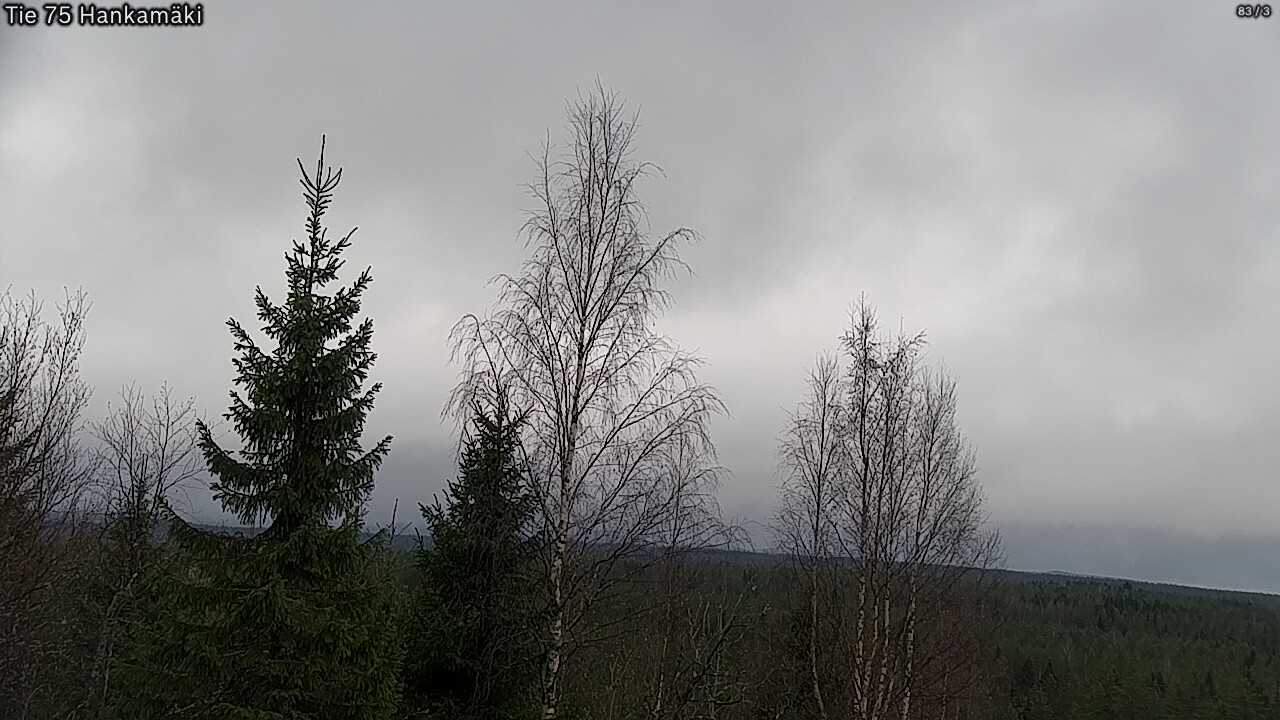 Kelikamerat Kuva Tie 75 Rautavaara, Hankamäki, Rautavaara, Pohjois-Savo