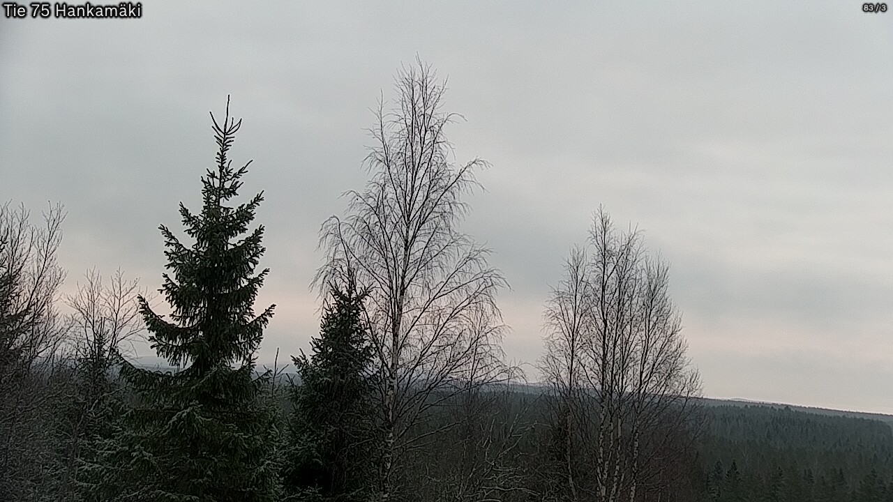 Kelikamerat Kuva Tie 75 Rautavaara, Hankamäki, Rautavaara, Pohjois-Savo