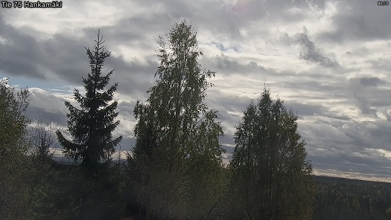 Kelikamerat Kuva Tie 75 Rautavaara, Hankamäki, Rautavaara, Pohjois-Savo