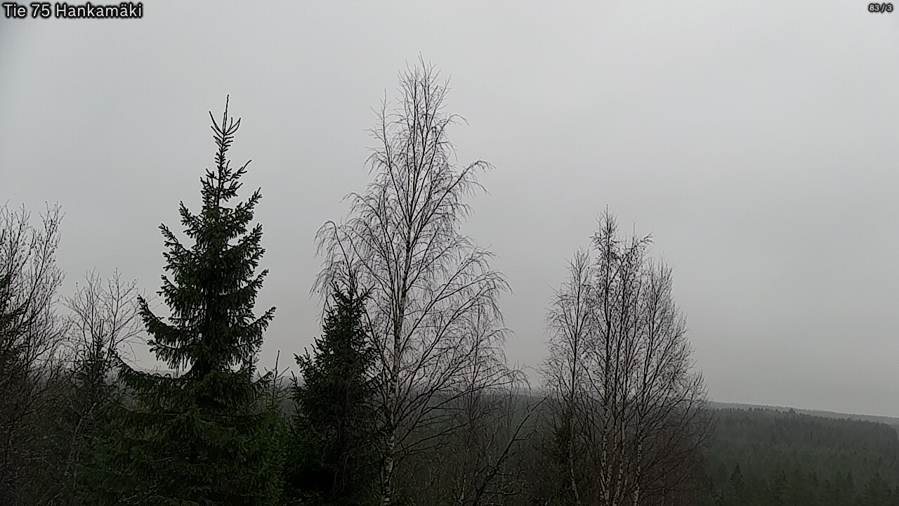 Kelikamerat Kuva Tie 75 Rautavaara, Hankamäki, Rautavaara, Pohjois-Savo