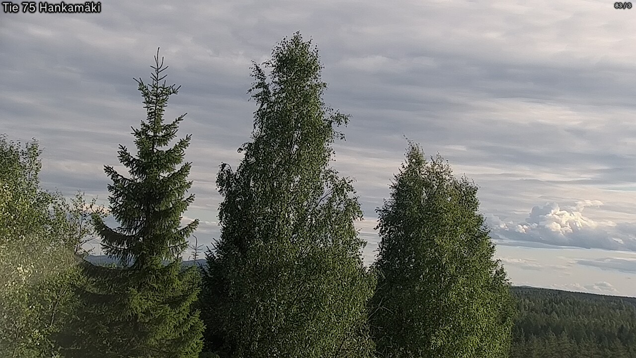 Kelikamerat Kuva Tie 75 Rautavaara, Hankamäki, Rautavaara, Pohjois-Savo